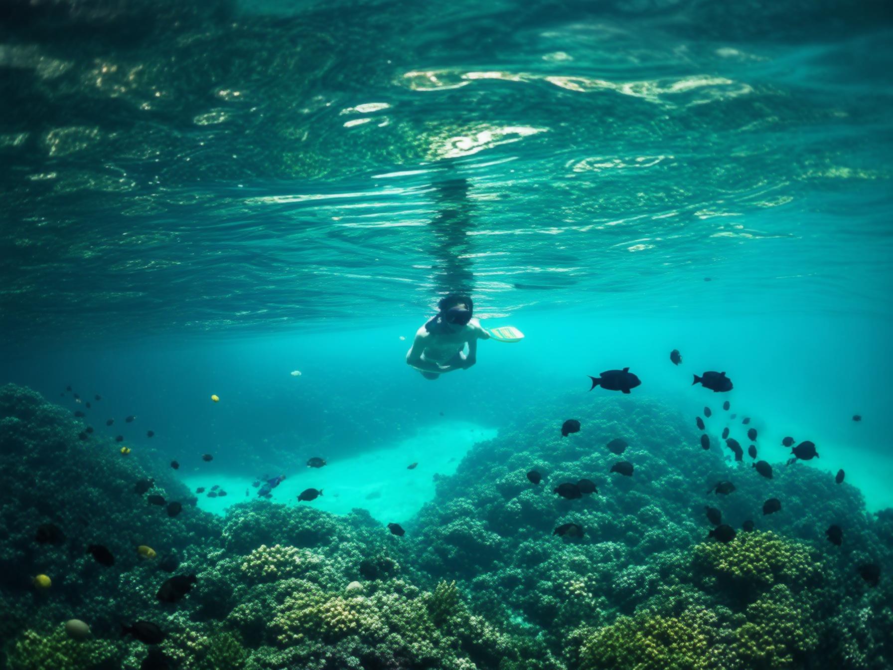 Sulawesi_3itinerary_booked