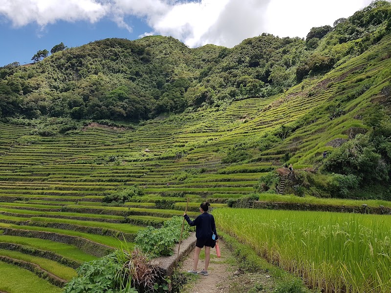 Hiking the Batad Rice Terraces - Banaue - Philippines - booked ai