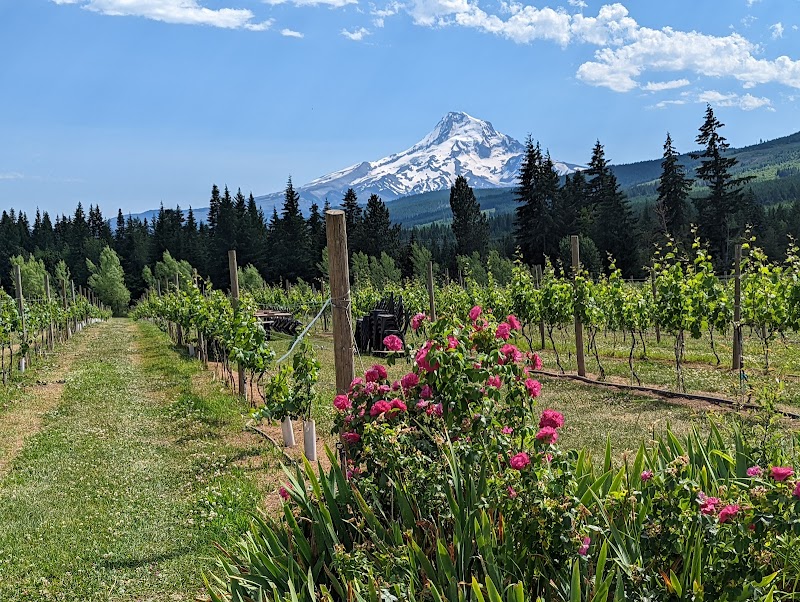 Exploring the Fruit Loop Local Orchards and Wineries