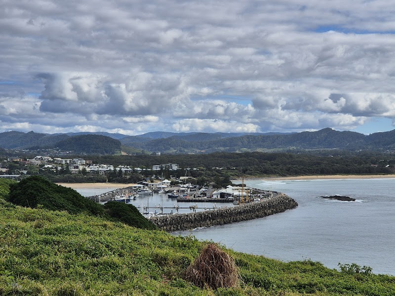 Explore Muttonbird Island Nature Reserve