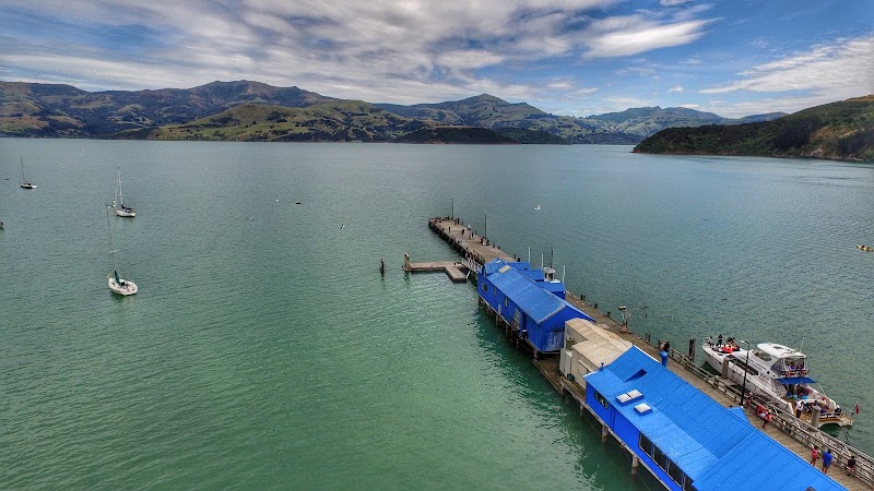 Akaroa Harbour Nature Cruise