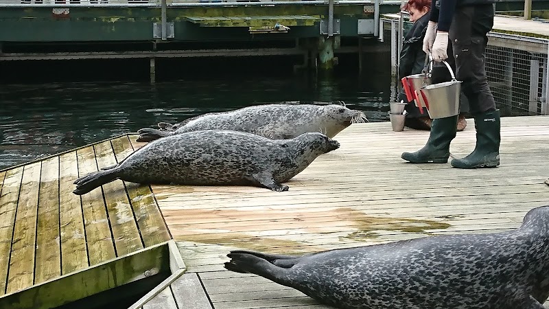 Fjord & Bælt