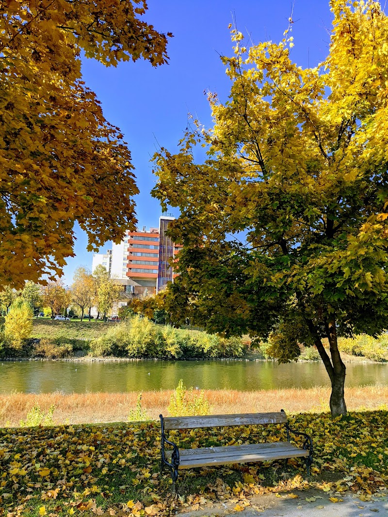 Kamberovića polje