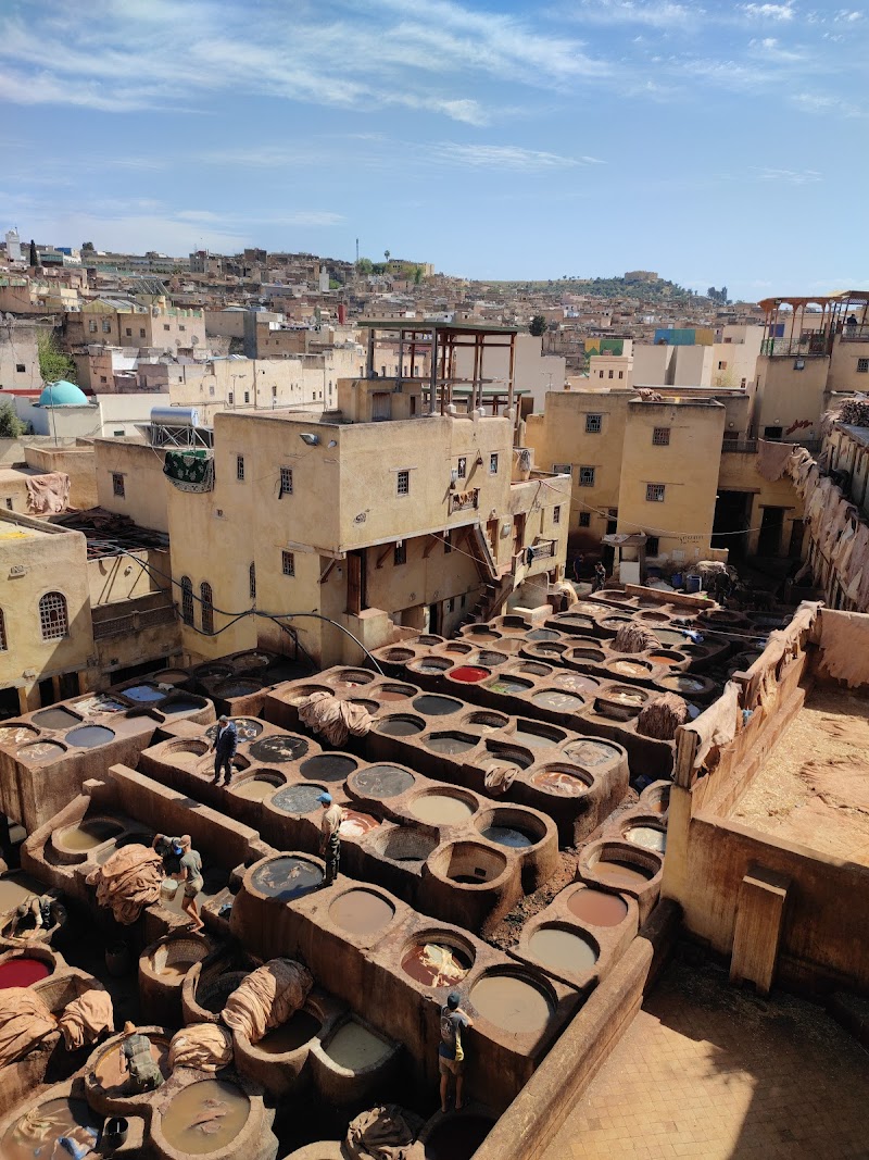 Discover the Chouara Tannery