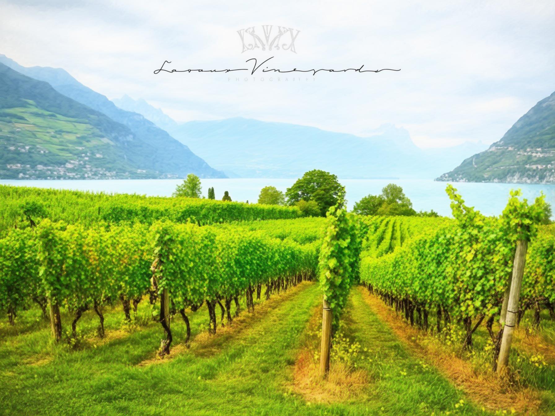 Vevey_3itinerary_booked