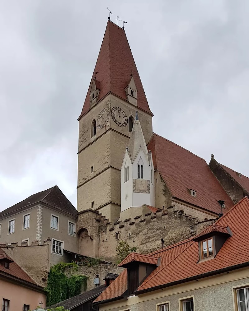 Orange Wings Krems