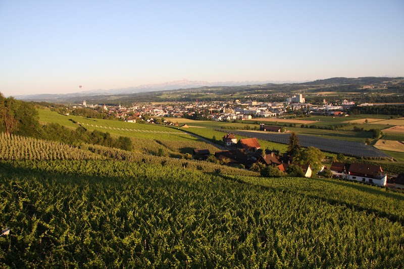 Weinfelden Vineyards and Wine Tasting