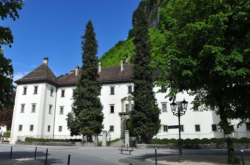 Palast Hohenems (Hohenems Palace)