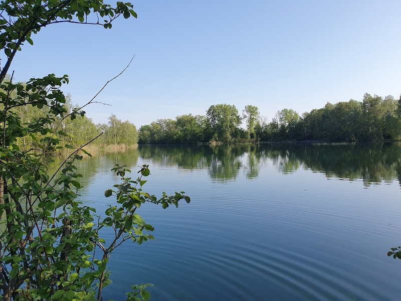Rheinauen Nature Reserve