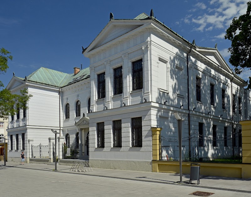 Exploring Martins Historic Town Center and the Andrej Kmet Museum