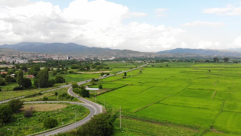 Explore Kočani Rice Fields - Kočani - North Macedonia - booked ai