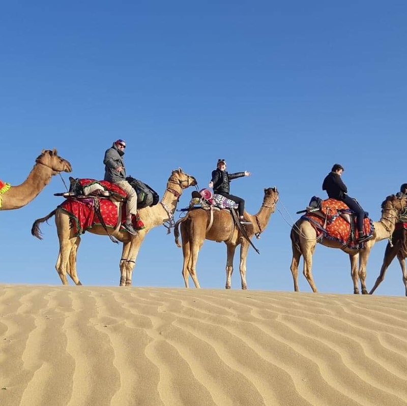 Camel Safari in the Thar Desert