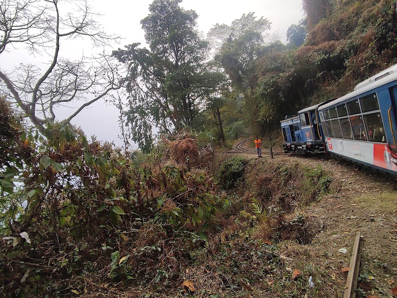 Ride the Darjeeling Himalayan Railway (Toy Train)