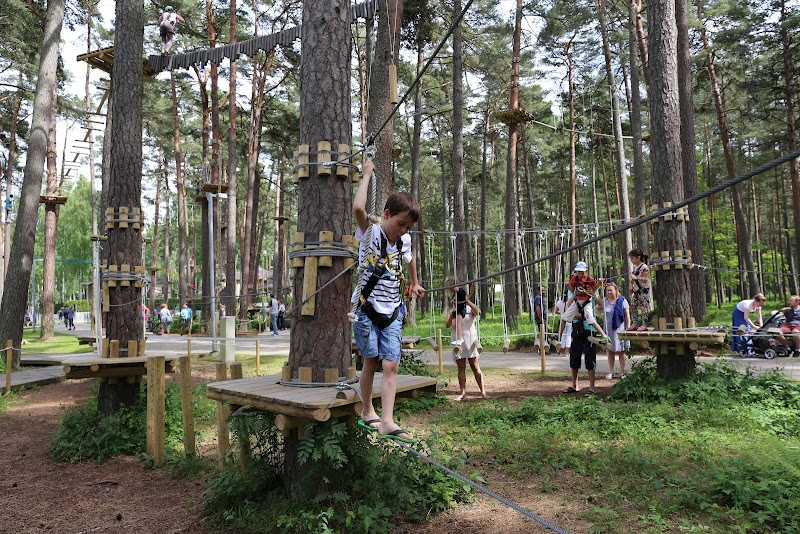 Visit Dzintari Forest Park