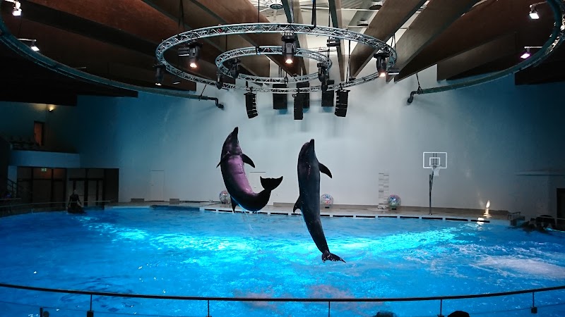 Visit the Lithuanian Sea Museum and Dolphinarium