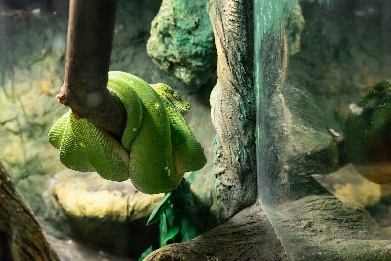 Latgale Zoo