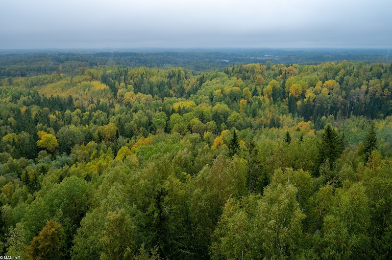 Rāzna