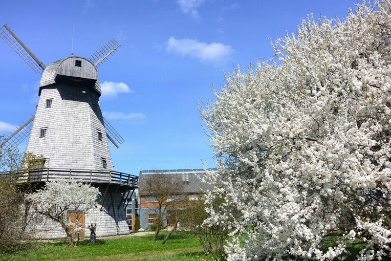 Rožmalas