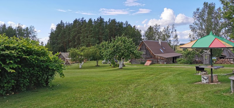 Vieversynė