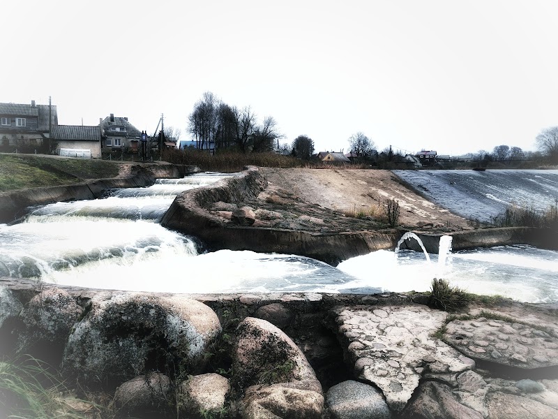 Vieversynė