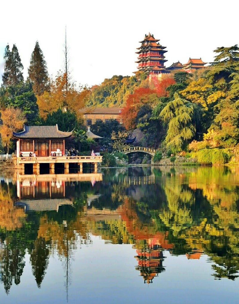 TANTA Nanjing