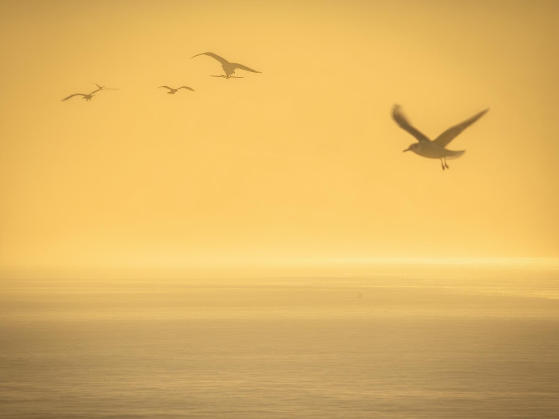 Penzance_blog_thumbnail