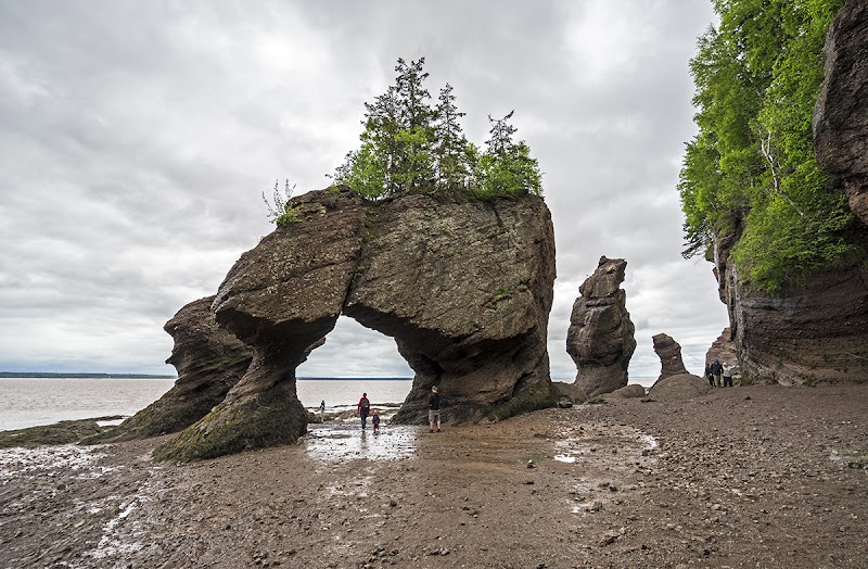 Hopewell Rocks
