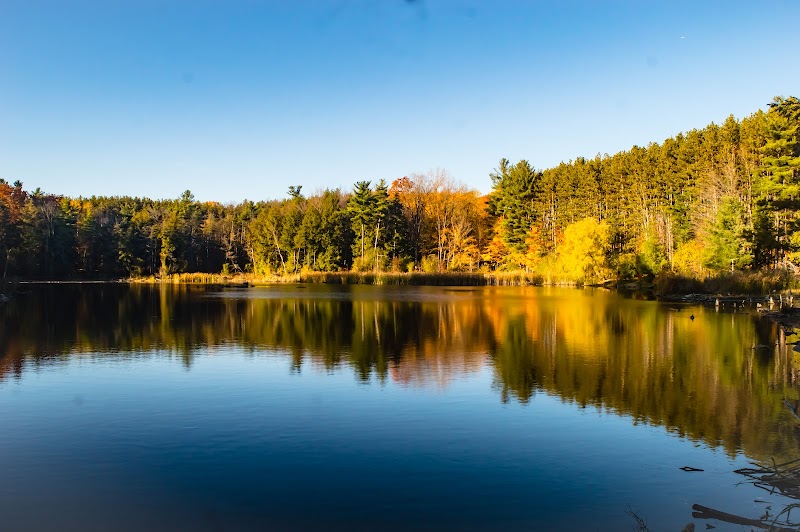 Huron Natural Area