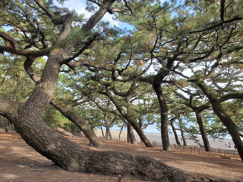 Miho no Matsubara: A Scenic Gem of Shizuoka - Shizuoka - Japan - booked ai