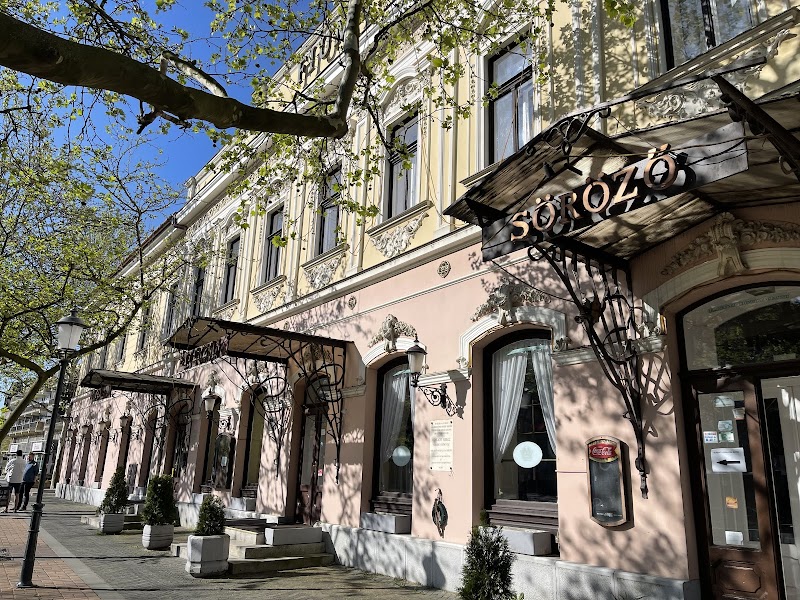 Hotel Fiume - Békéscsaba - Hungary - booked ai