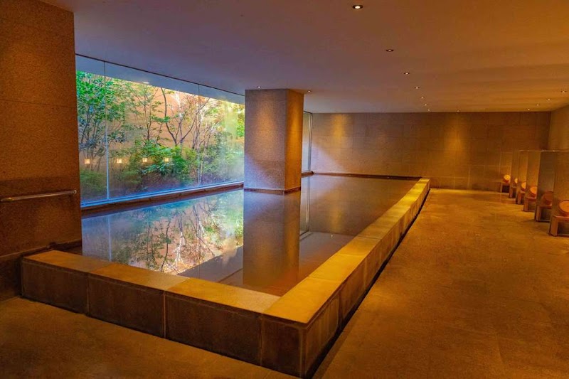 Hyatt Regency Hakone Resort and Spa - Hakone - Japan - booked ai