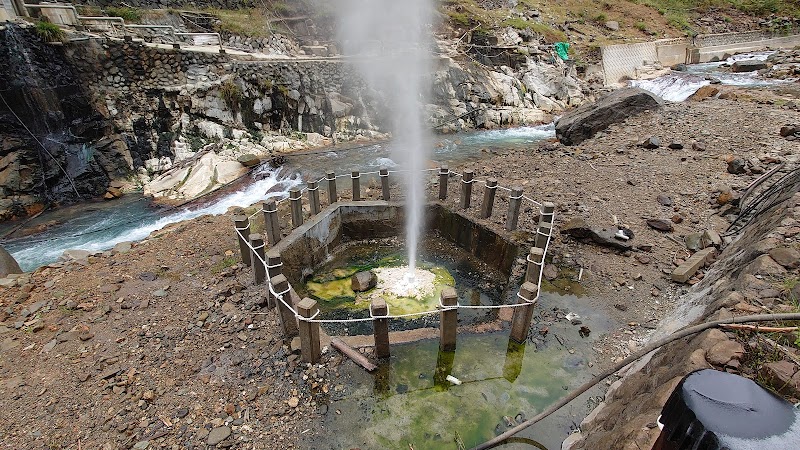 Exploring Jigokudani Monkey Park: A Unique Wildlife Experience - Yamanochi - Japan - booked ai