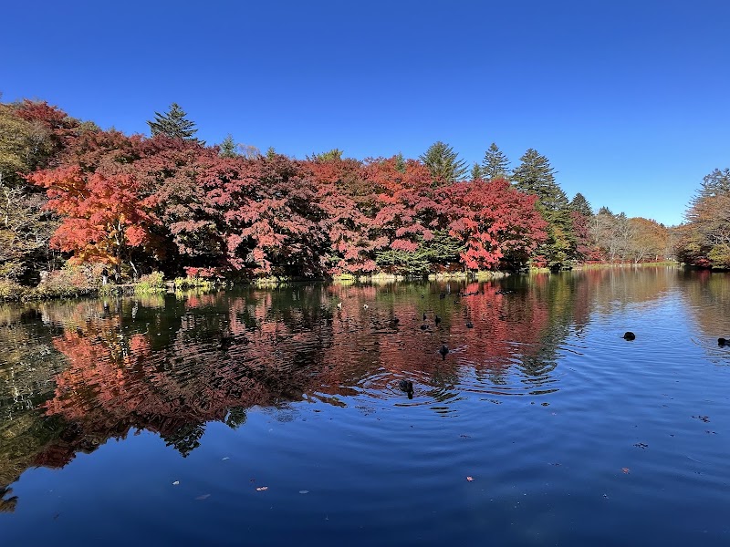 Reflections at Kumoba Pond - Karuizawa - Japan - booked ai