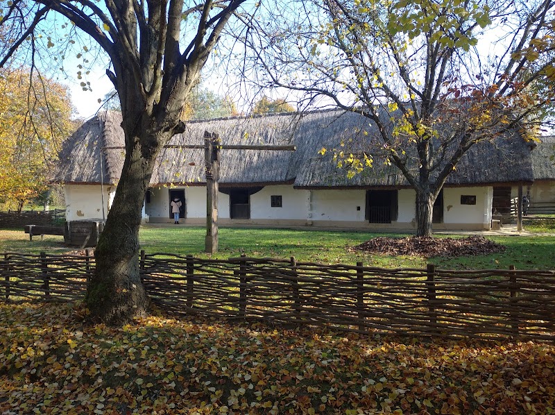 Discovering the Charm of Göcseji Village Museum in Zalaegerszeg - Zalaegerszeg - Hungary - booked ai