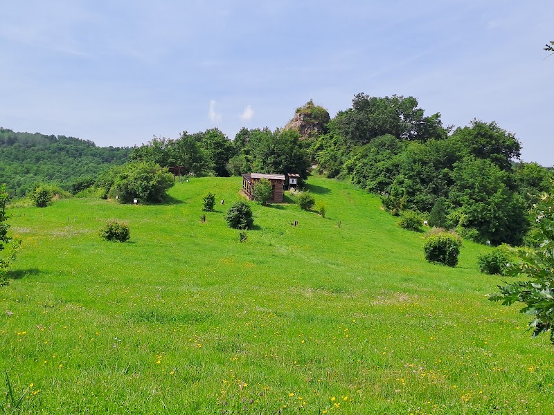 Exploring Baglyaskő Castle Nature Reserve Visitor Center - Salgótarján - Hungary - booked ai