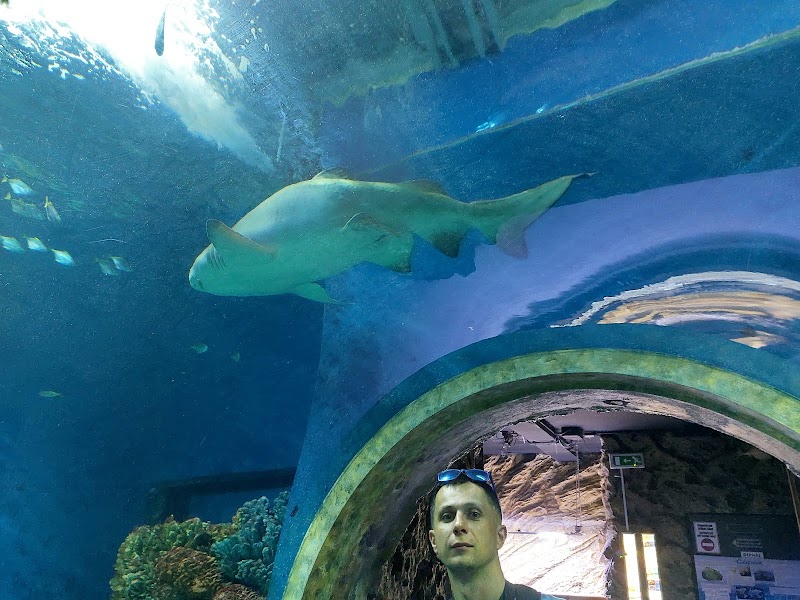 Nyíregyháza Animal Park Sóstó Zoo - Nyíregyháza - Hungary - booked ai