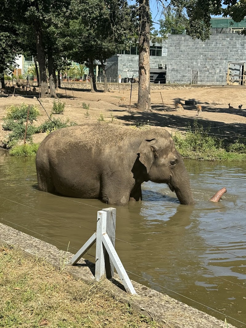 Nyíregyháza Animal Park Sóstó Zoo - Nyíregyháza - Hungary - booked ai