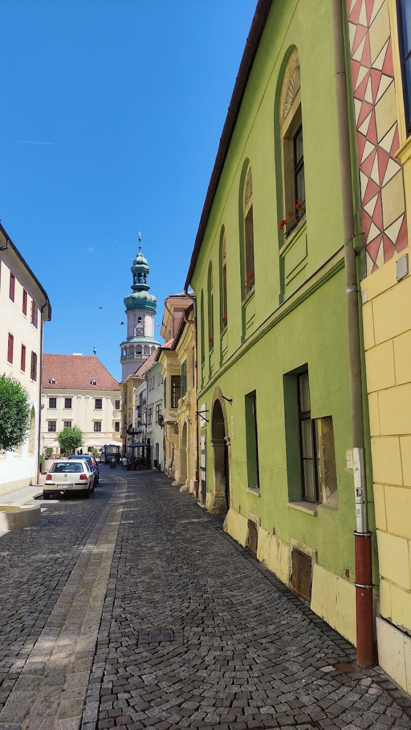 SOPRON Significance - Sopron - Hungary - booked ai
