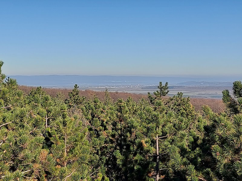Ó-Hubertusz Kilátó - A Panorama of Nature’s Beauty - Sopron - Hungary - booked ai