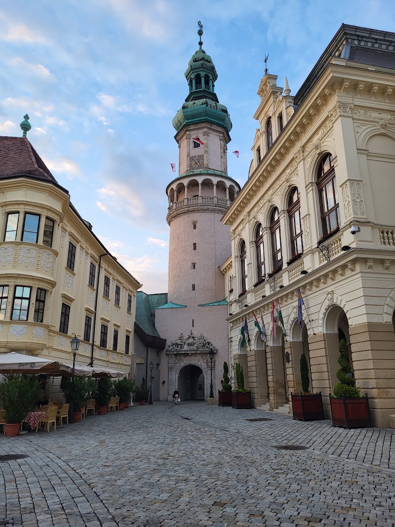 Fire Tower - Sopron - Hungary - booked ai