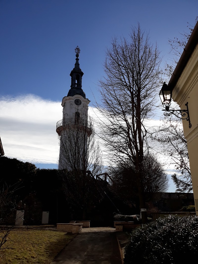 Insights into the Iconic Veszprém Fire-watch Tower - Veszprém - Hungary - booked ai