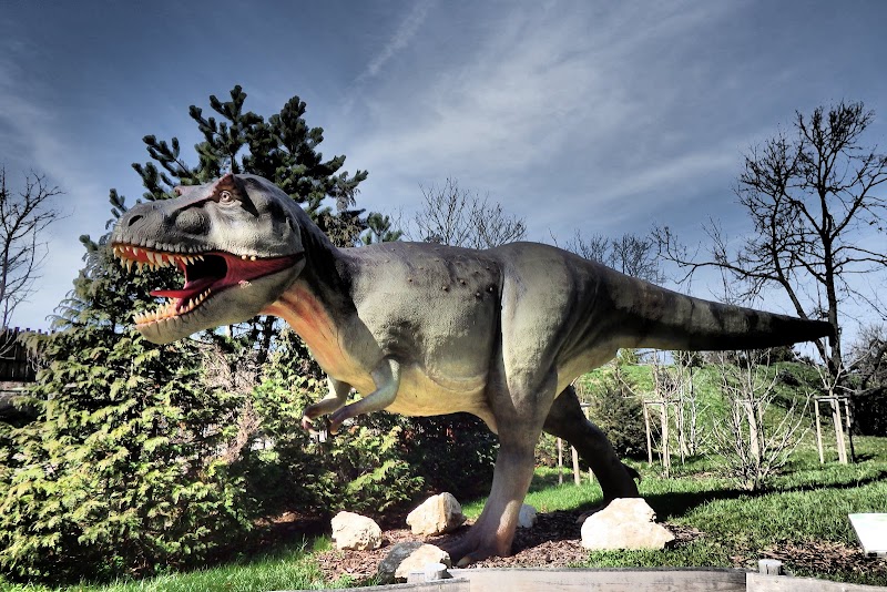 Veszprém Zoo: A Must-Visit Destination for Wildlife Lovers - Veszprém - Hungary - booked ai