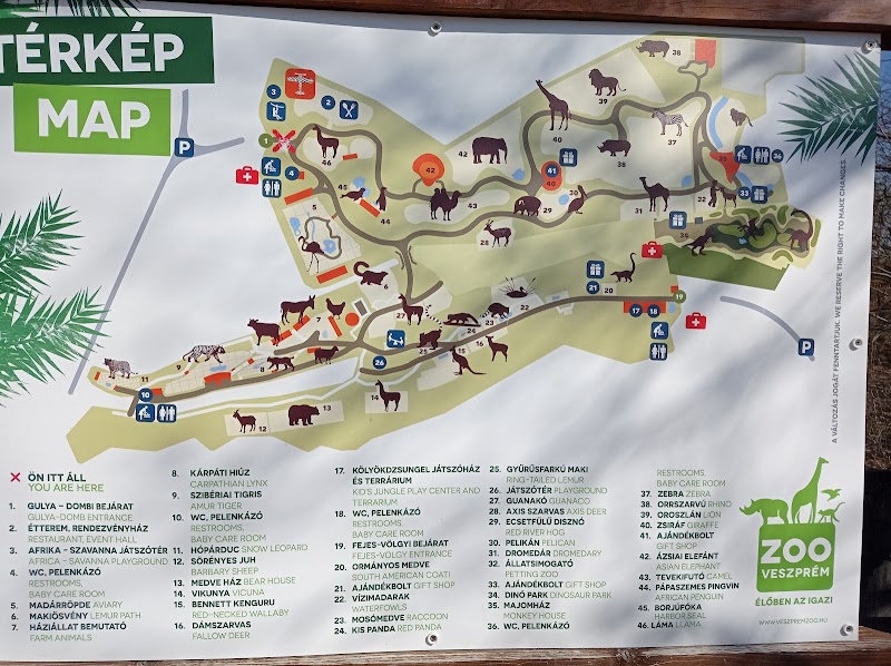 Veszprém Zoo: A Must-Visit Destination for Wildlife Lovers - Veszprém - Hungary - booked ai