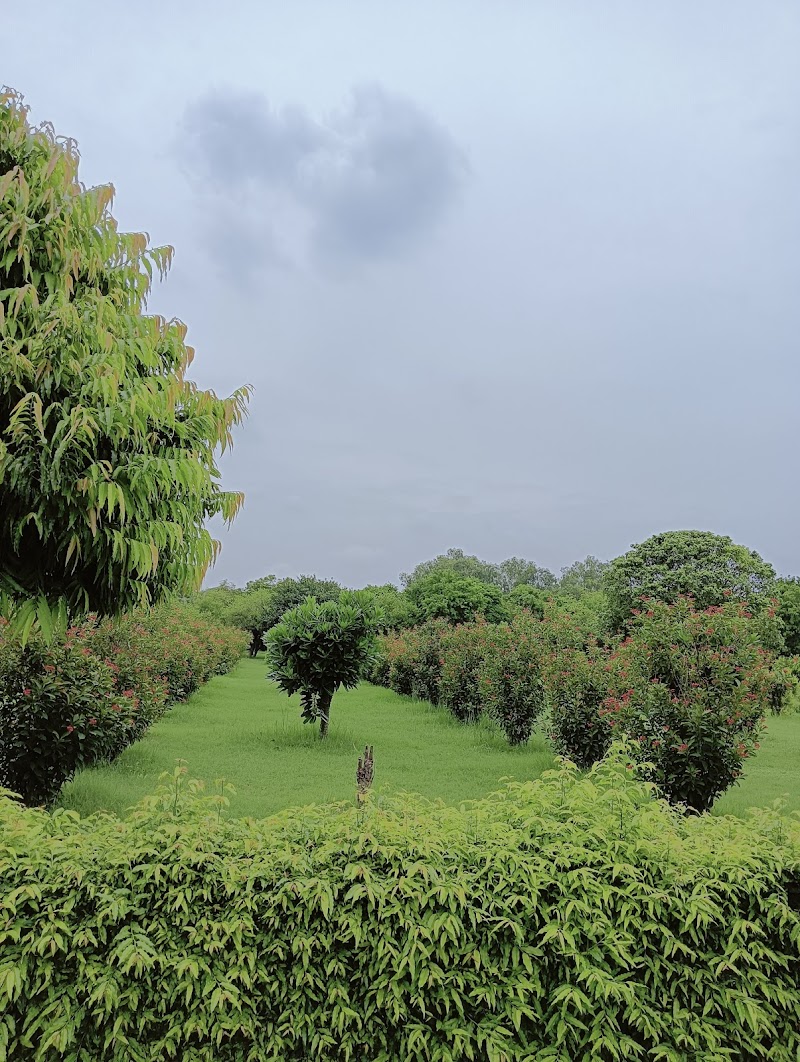 Discover Mehtab Bagh - Agra - India - booked ai