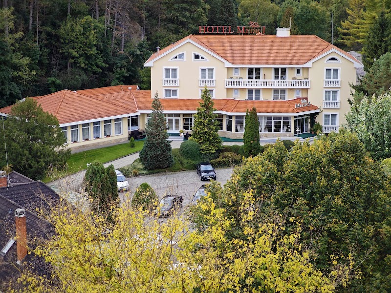 Hotel Villa Medici - Veszprém - Hungary - booked ai