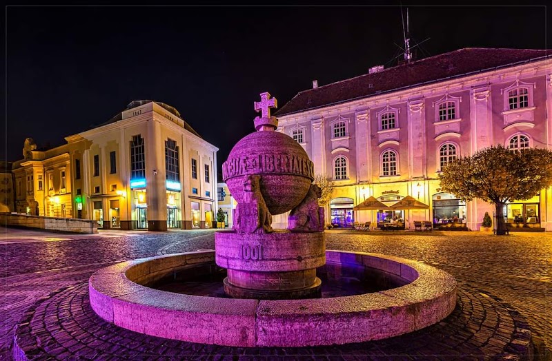 Székesfehérvár Downtown - Székesfehérvár - Hungary - booked ai