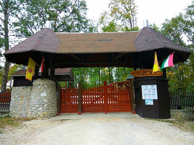 Discover the Wonders of Miskolc Zoo - Miskolc - Hungary - booked ai