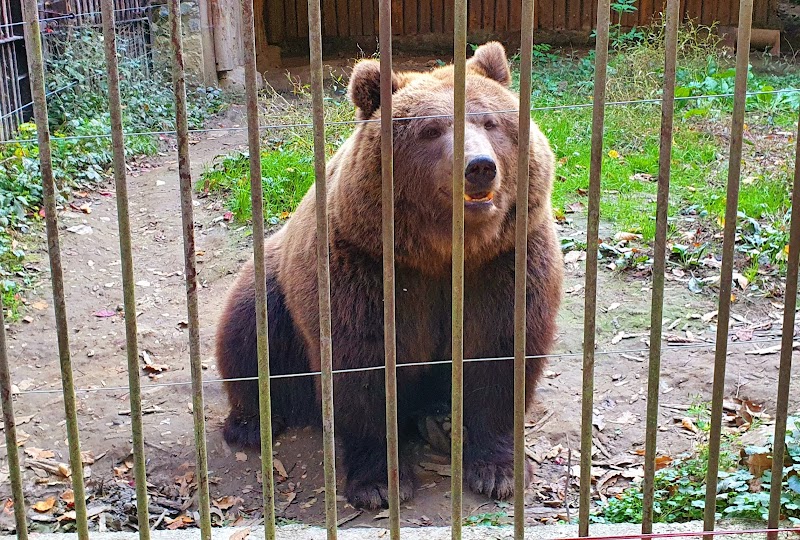 Discover the Wonders of Miskolc Zoo - Miskolc - Hungary - booked ai