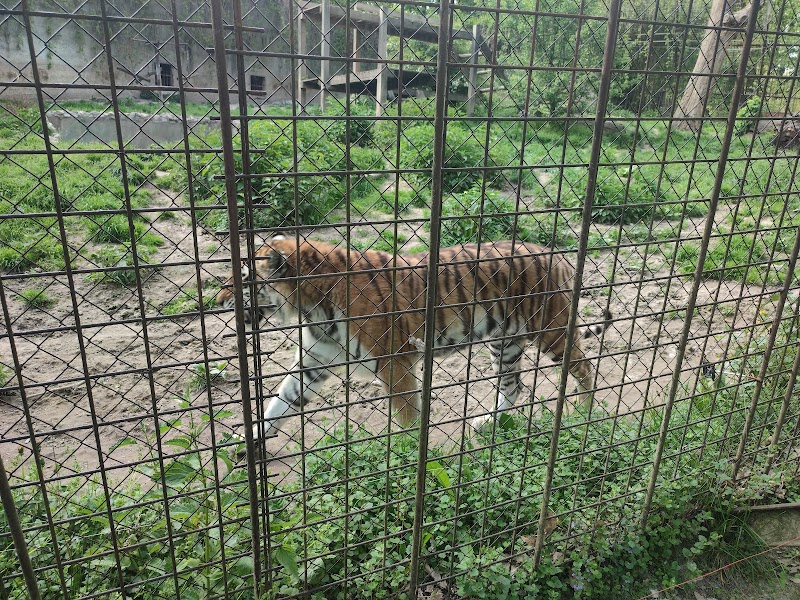 Discover the Wonders of Miskolc Zoo - Miskolc - Hungary - booked ai