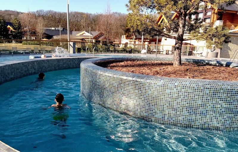 Avalon Resort & SPA - Miskolc - Hungary - booked ai
